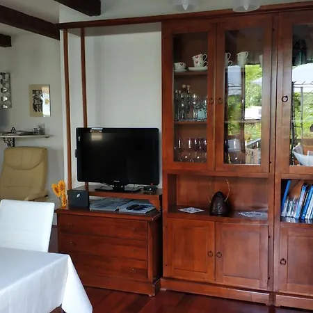 Apartma Flajban Апартаменты Kojsko