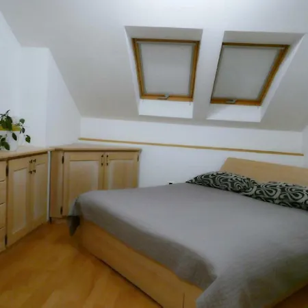 Apartma Flajban * Kojsko